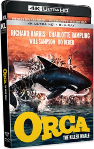 Orca 4KUHD: The Killer Whale Experience in Stunning Detail