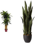 Sansevieria 35in with 4ft Dracaena Silk Plant Set - Lifelike Green