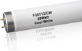 F20T12/CW 20 Watt 24in Fluorescent Tube 6-Pack - Energy Saving