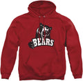 LOGOVISION Collegiate Distressed Primary Logo Adult (Style 1CVD)