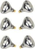 6 Pack 250W Clear Heat Lamp Bulbs for Food Service and More