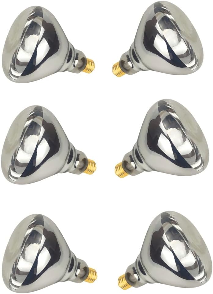 6 Pack 250W Clear Heat Lamp Bulbs for Food Service and More