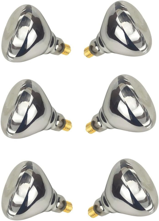 6 Pack 250W Clear Heat Lamp Bulbs for Food Service and More