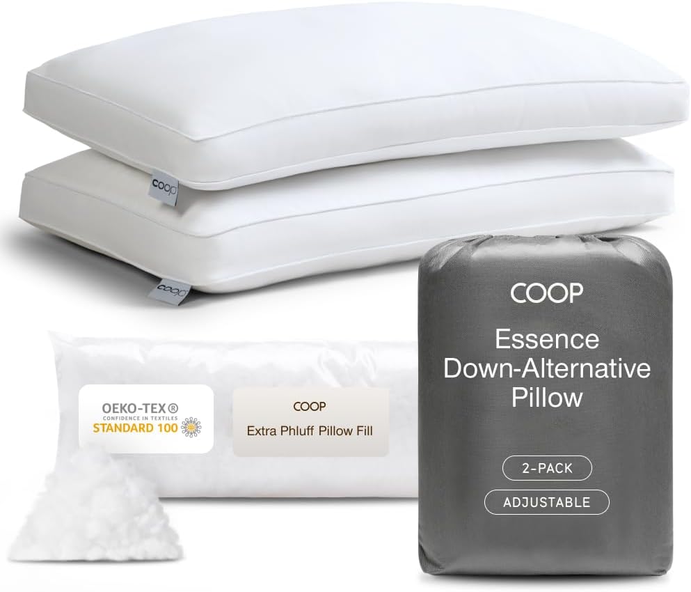 Coop Home Goods Essence Down Alternative Pillow Set of 2, Queen Size