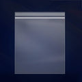 iMailer 9 in x 12 in Zip Bags - 500 Count Clear Reclosable Poly Bags