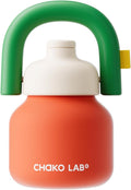 Christmas Gift Water Bottle with Straw and Carry Handle - Insulated