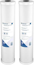 Pentair Pentek RFC-20BB Big Blue Carbon Water Filter for Home