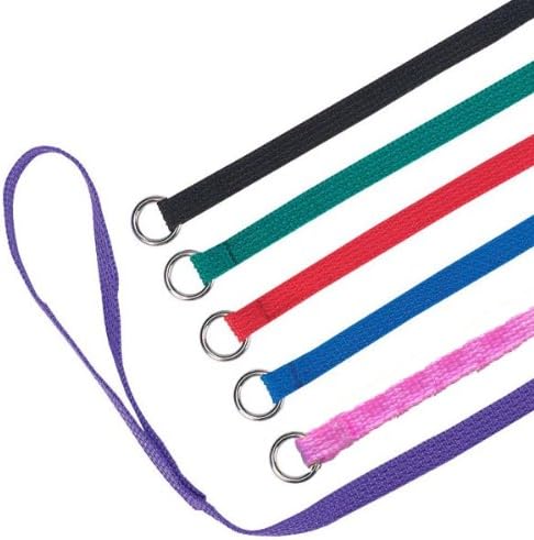 Universal Dog Slip Lead Leash for Groomers and Daycares