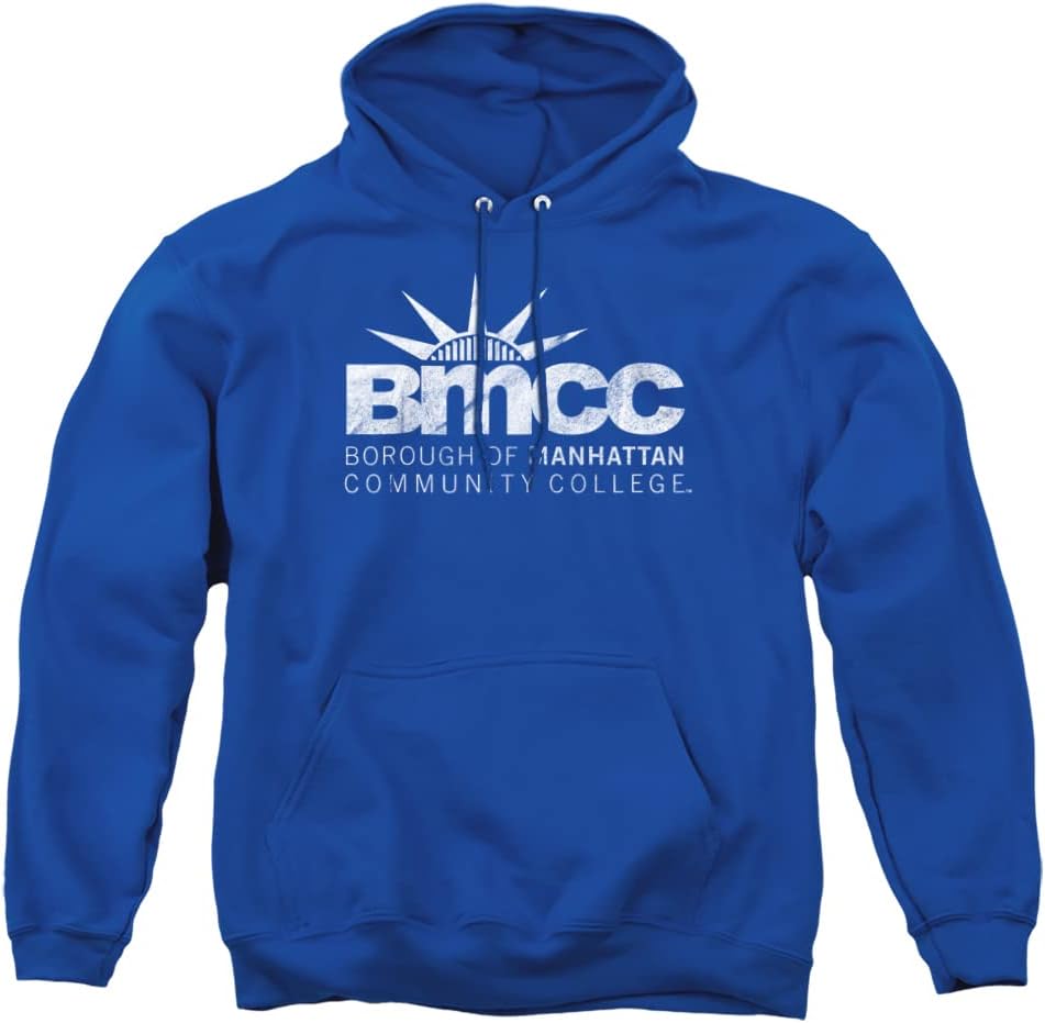 Official Collegiate Distressed Logo Adult Pullover Hoodie