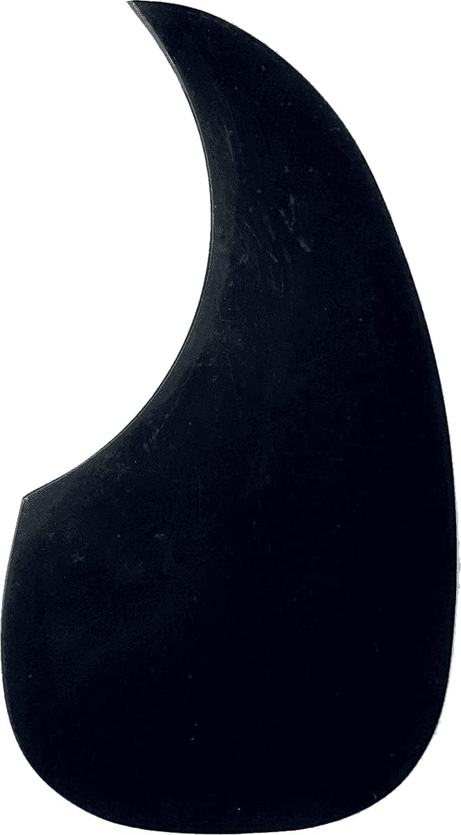 Enhance Your Performance with MARTIN 13PG Acoustic Guitar