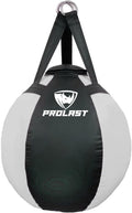 PROLAST Wrecking Ball Heavy Bag Body Snatcher - Pro Training Ball