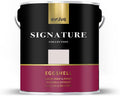 Luxury Indoor and Outdoor Finish Paint and Primer by EVOLVE