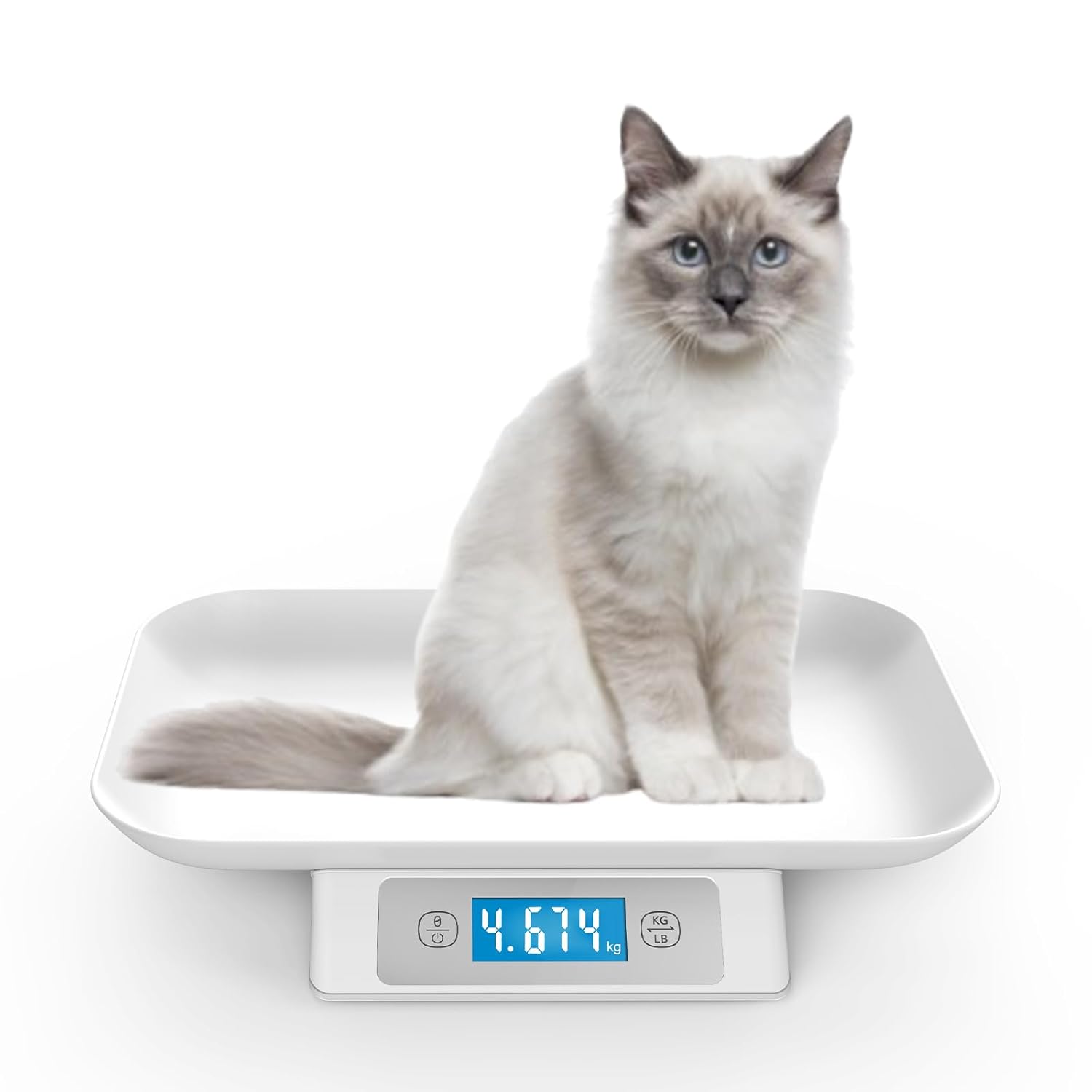 Digital Pet Scale for Small Cats and Animals - Accurate Weighing