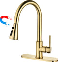 Havin Gold Kitchen Faucet with Pull Down Magnetic Sprayer - High Arc