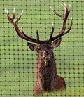 OldMacDonald Deer and Animal Fence Barrier Netting 7.5 ft x 100 ft
