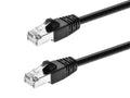 Cat6A 100ft Black Patch Cable Double Shielded - 10G Performance