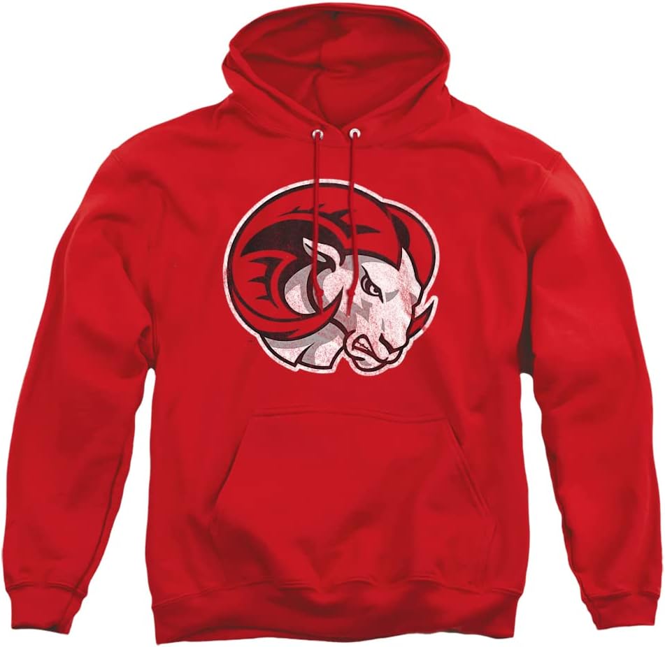 Official Collegiate Distressed Primary Logo Hoodie for Fans
