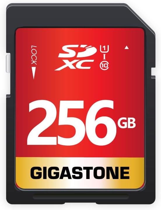 Gigastone 256GB High Speed SD Card for Stunning HD Video