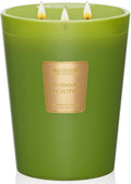 M&SENSE Rosemary Eucalyptus Scented Candle 35oz - Long Lasting Home