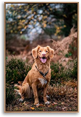 Custom Framed Canvas Prints for Pets - Personalized Wall Art