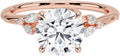 1-3 CT Moissanite Engagement Ring Colorless VVS1 - Twisted Vine Stud