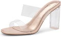 Clear Heels for Women Transparent Two Strap High Block Chunky Heeled