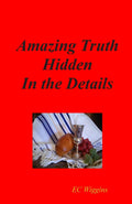 Amazing Truth Hidden in the Details - Scripture Study Guide