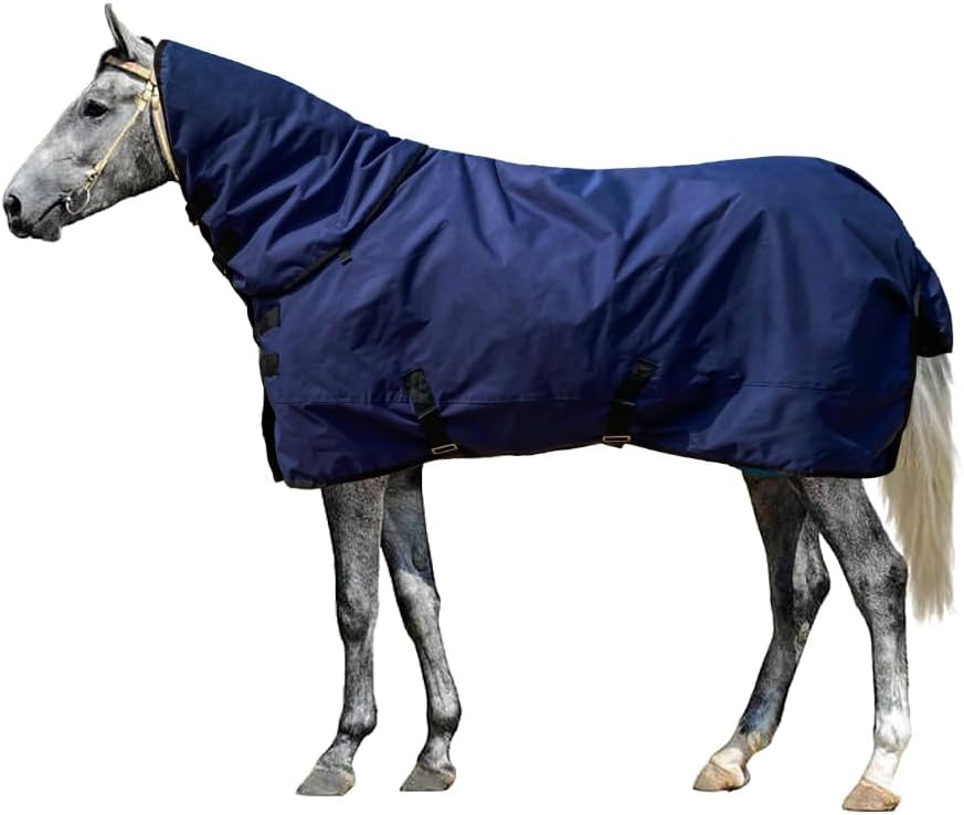 Durable Waterproof Horse Blanket with Neck Cover - DockMoor