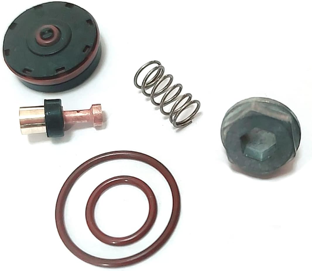 Regulator Repair Kit - Compatible with Top Brands