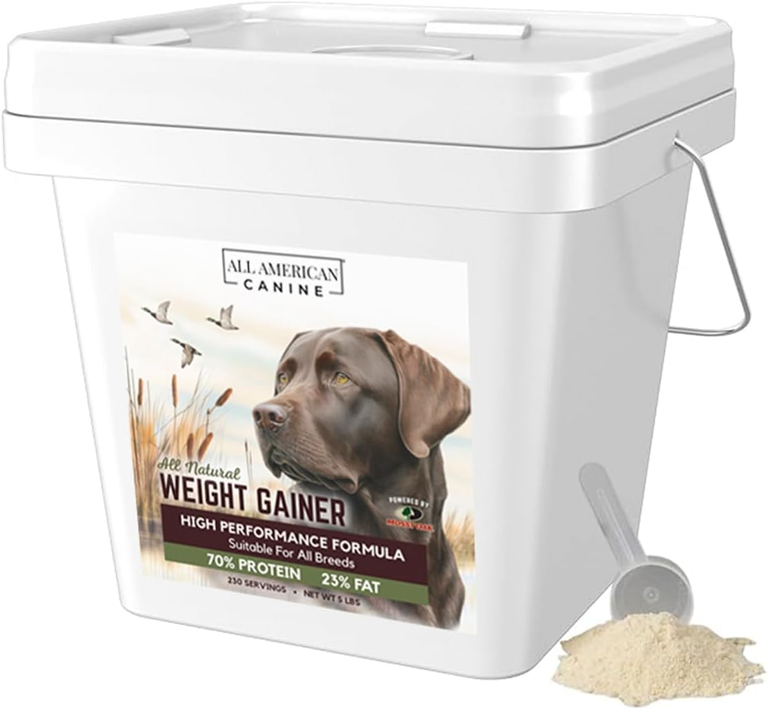 Bulk Dog Weight Gainer for Rapid Weight Gain and Recovery