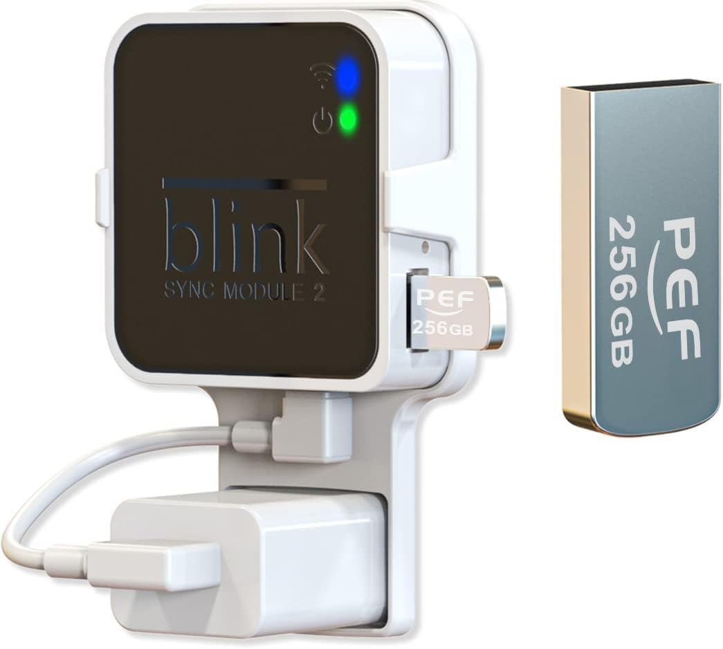 Blink Flash Drive - 256GB Local Video Storage