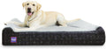 Laifug Orthopedic Memory Foam Extra Large Dog Bed - Supportive Comfort