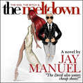 The Wig, The Bitch & The Meltdown - Satirical Novel