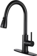 Qomolangma Kitchen Faucet with Pull Down Sprayer - High Arc Matte