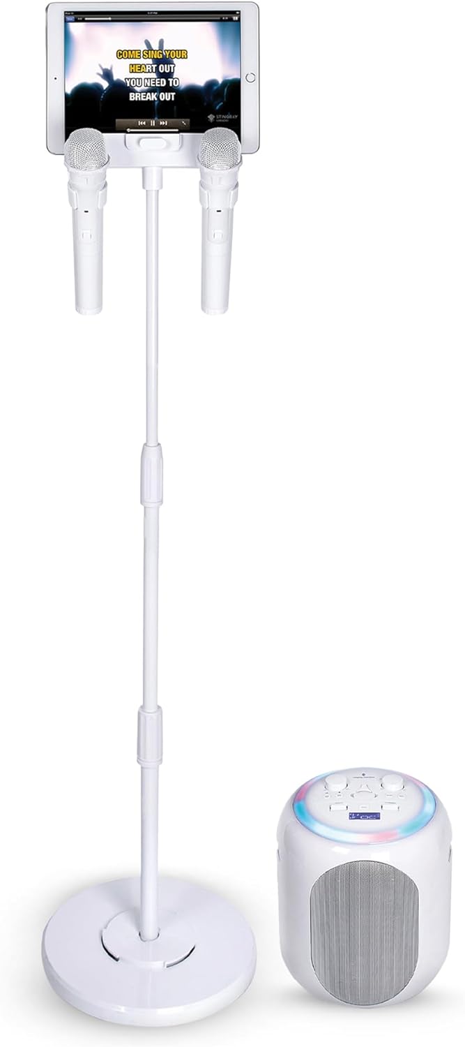 Wireless Karaoke Fun: Singing Machine with Voice Enhancer