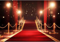 Red Carpet Backdrop 10x8ft Fabric Backdrop - Vibrant Photo Ready