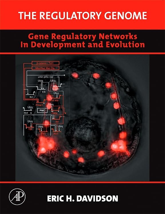 The Regulatory Genome: Gene Regulatory Networks in Development