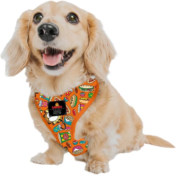 Dog Adjustable Harness with Two D-Rings for Small Dogs and Puppies