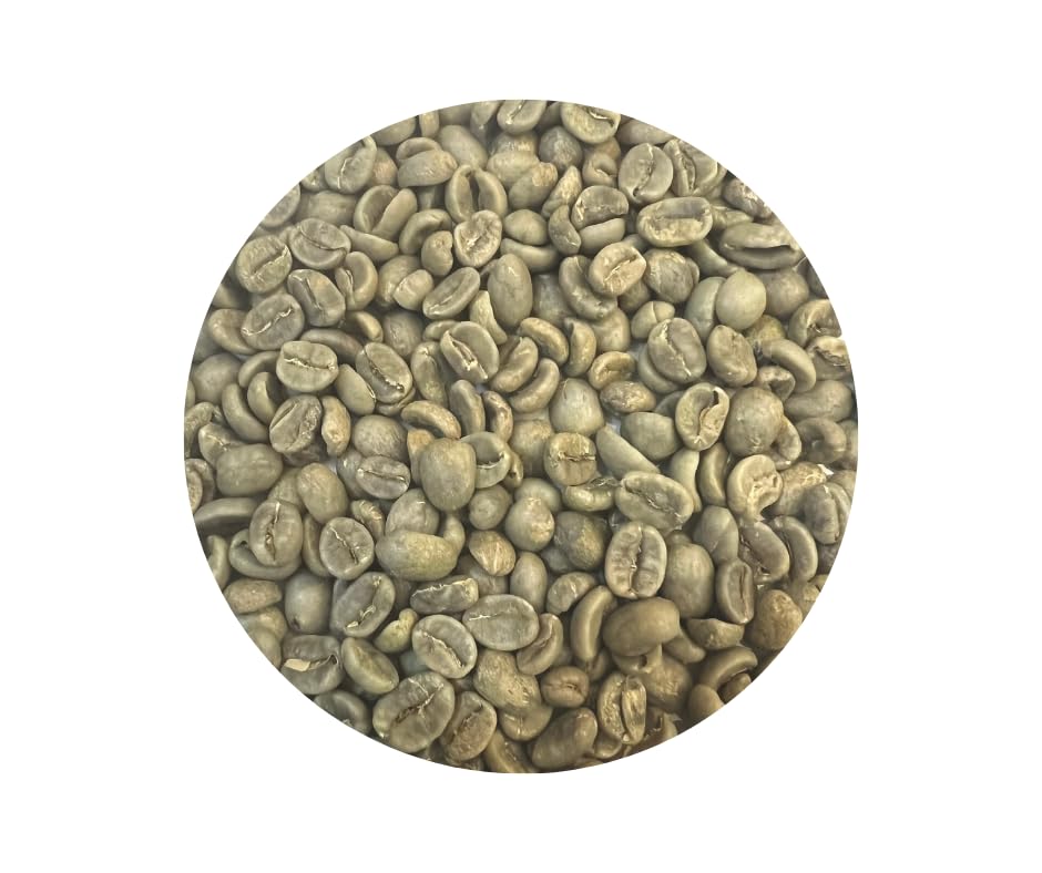 Premium Green Coffee Beans from Costa Rica - 5lb Roastika
