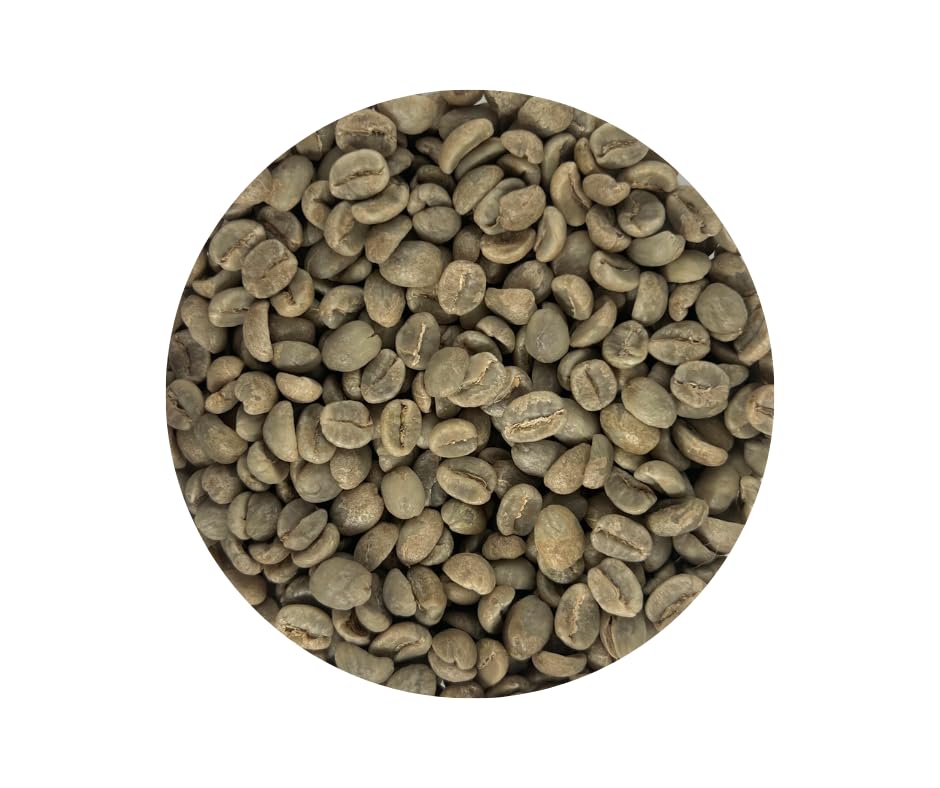 Premium Green Coffee Beans from Kenya - Roastika 10lb Quality