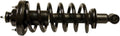 Gabriel Ultra ReadyMount Rear Strut Assembly for 06-10 Explorer - Easy