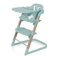 Evenflo RightSeat Multistage High Chair in Sage Green