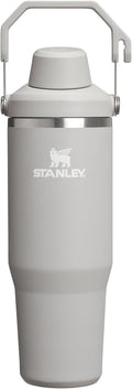 Stanley IceFlow 2.0 30 oz Fast Flow Tumbler - Leakproof Cold for Days