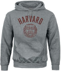 Barnesmith Hooded Sweatshirt Unisex - Soft Heritage Logo Comfort Fan