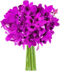 Purple Orchid Bouquet - KaBloom PRIME Next Day Delivery