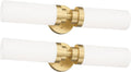 22 in Gold Bathroom Vanity Light - Modern 2-Light Over Mirror