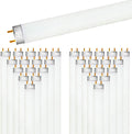LUXRITE 48in F32T8/865 32W Daylight Fluorescent Tube - Reliable