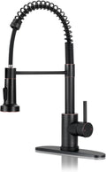 DJS Kitchen Faucet Pull Down Sprayer Oil Rubbed Bronze - High Arc
