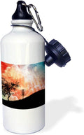 Frisbee Disc Golf Basket Water Bottle - Durable 21Oz Sports Bottle