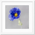 20x20 Frame White for 20x20 or 16x16 Photos - Clean Wall Display